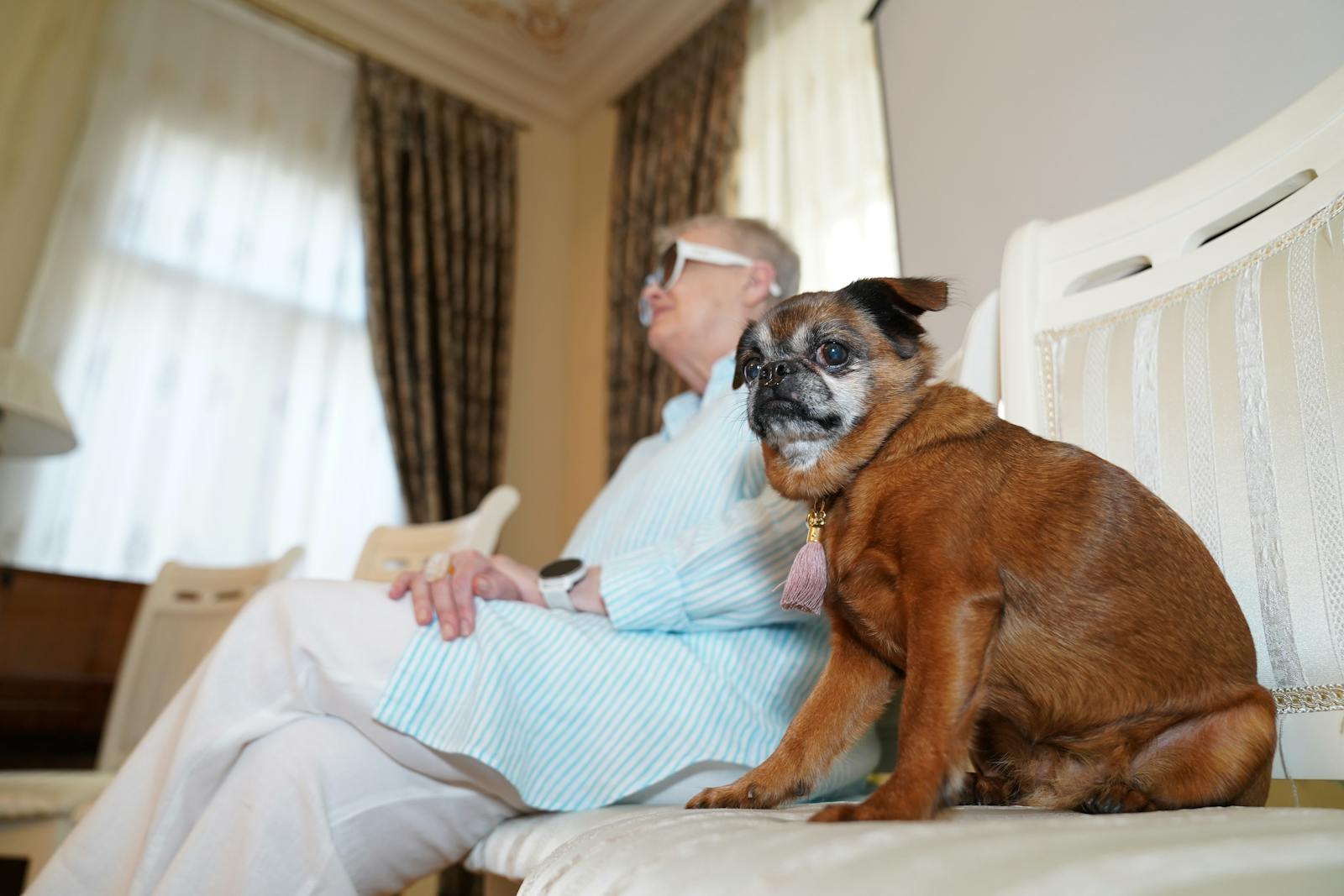 Senior at home with dog sitting on a couch